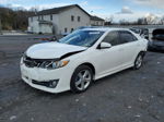 2013 Toyota Camry L White vin: 4T1BF1FK6DU261357