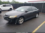 2013 Toyota Camry L/le/se/xle Gray vin: 4T1BF1FK6DU667171