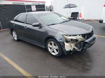 2013 Toyota Camry L/le/se/xle Gray vin: 4T1BF1FK6DU667171