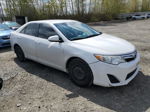 2014 Toyota Camry L White vin: 4T1BF1FK6EU418113