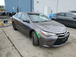 2016 Toyota Camry Le Gray vin: 4T1BF1FK6GU264537