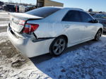 2012 Toyota Camry Base White vin: 4T1BF1FK7CU635151