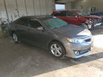 2014 Toyota Camry L Gray vin: 4T1BF1FK7EU360951