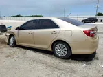 2012 Toyota Camry Base Gold vin: 4T1BF1FK8CU070196