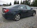 2013 Toyota Camry L Черный vin: 4T1BF1FK9DU213819