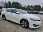 2013 Toyota Camry L White vin: 4T1BF1FK9DU722275