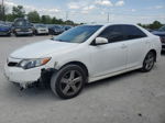 2012 Toyota Camry Base Белый vin: 4T1BF1FKXCU115736