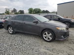 2014 Toyota Camry L Gray vin: 4T1BF1FKXEU334425