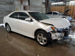 2014 Toyota Camry L White vin: 4T1BF1FKXEU422875