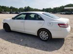 2011 Toyota Camry Base White vin: 4T1BF3EK0BU629381