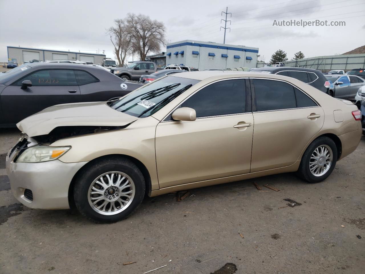 2011 Toyota Camry Base Gold vin: 4T1BF3EK0BU653597