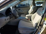 2011 Toyota Camry Base Бежевый vin: 4T1BF3EK1BU600634