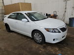 2011 Toyota Camry Base White vin: 4T1BF3EK1BU623721