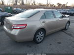 2011 Toyota Camry Le Золотой vin: 4T1BF3EK2BU602165