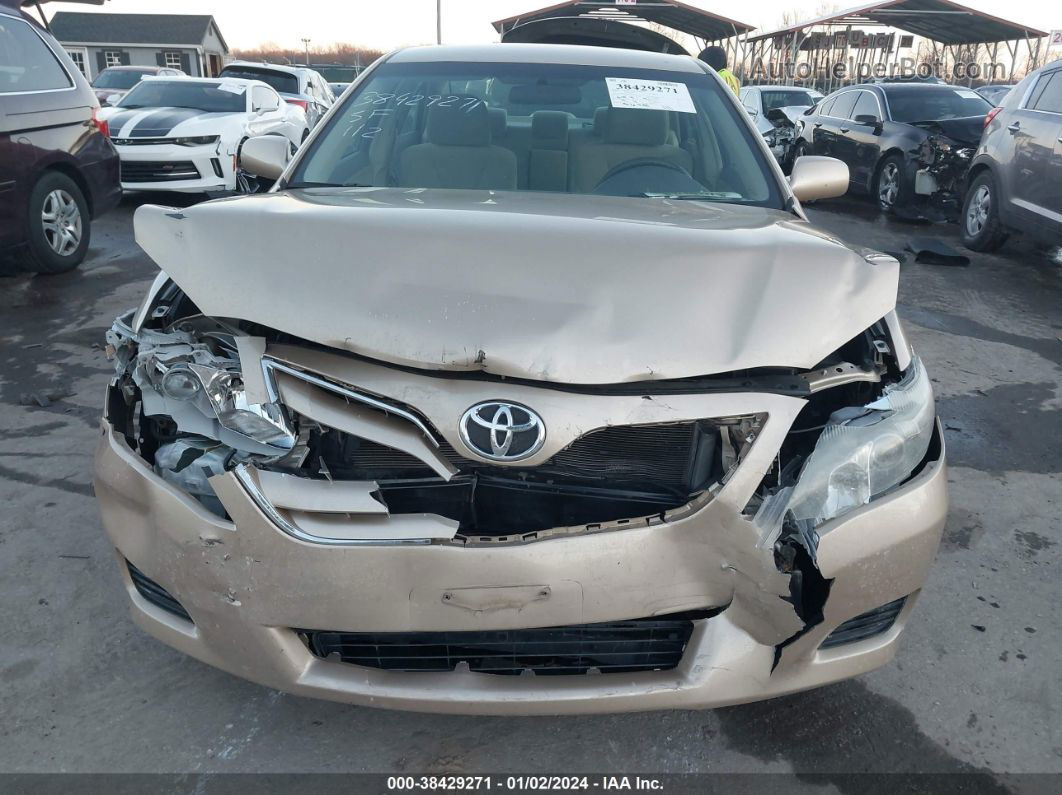 2011 Toyota Camry Le Золотой vin: 4T1BF3EK2BU602165