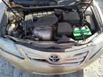 2011 Toyota Camry Base Золотой vin: 4T1BF3EK2BU667310