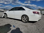 2011 Toyota Camry Base Белый vin: 4T1BF3EK3BU601977