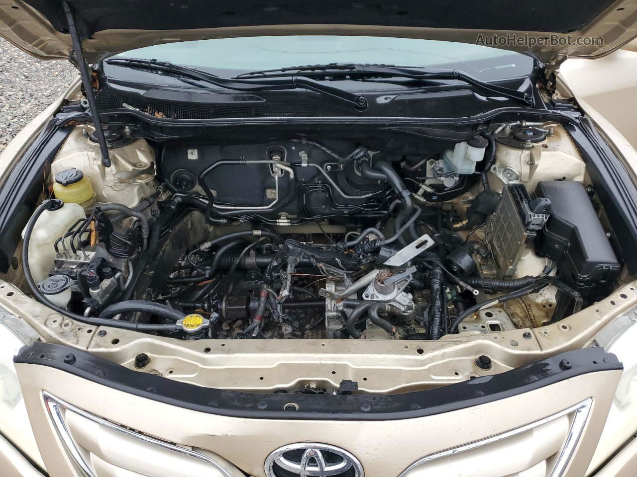 2011 Toyota Camry Base Gold vin: 4T1BF3EK4BU119812