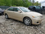 2011 Toyota Camry Base Gold vin: 4T1BF3EK4BU157394