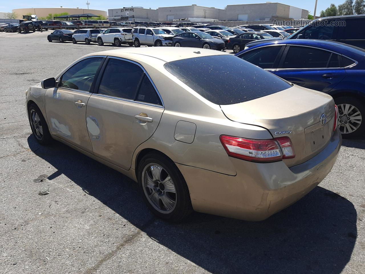 2011 Toyota Camry Base Gold vin: 4T1BF3EK5BU729931