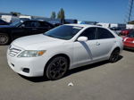 2011 Toyota Camry Base Белый vin: 4T1BF3EK6BU594717