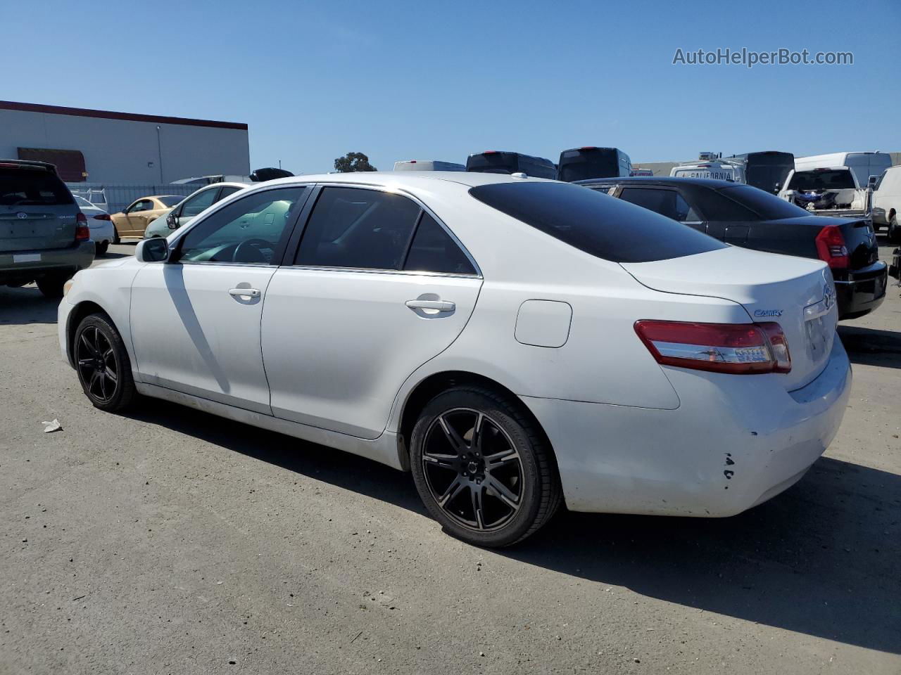 2011 Toyota Camry Base Белый vin: 4T1BF3EK6BU594717