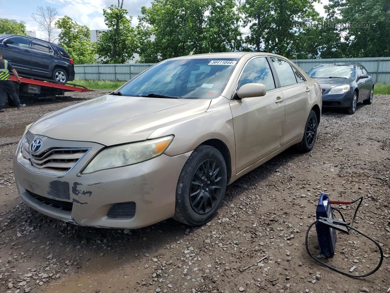 2011 Toyota Camry Base Gold vin: 4T1BF3EK6BU697667