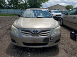 2011 Toyota Camry Base Gold vin: 4T1BF3EK6BU697667