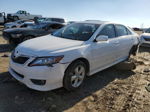 2011 Toyota Camry Base White vin: 4T1BF3EK9BU711545