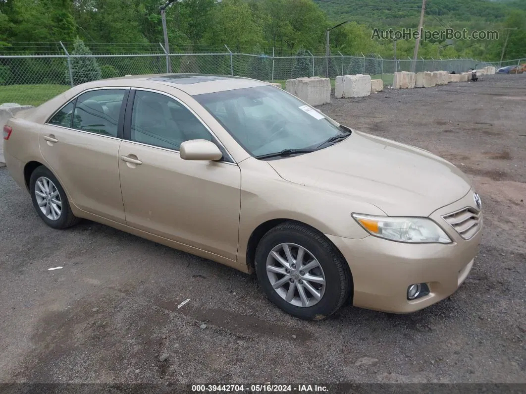 2011 Toyota Camry Xle Beige vin: 4T1BF3EKXBU225875