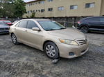 2011 Toyota Camry Base Gold vin: 4T1BF3EKXBU603144