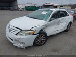 2011 Toyota Camry Xle White vin: 4T1BF3EKXBU746286