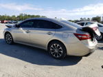 2016 Toyota Avalon Xle Золотой vin: 4T1BK1EB0GU218411