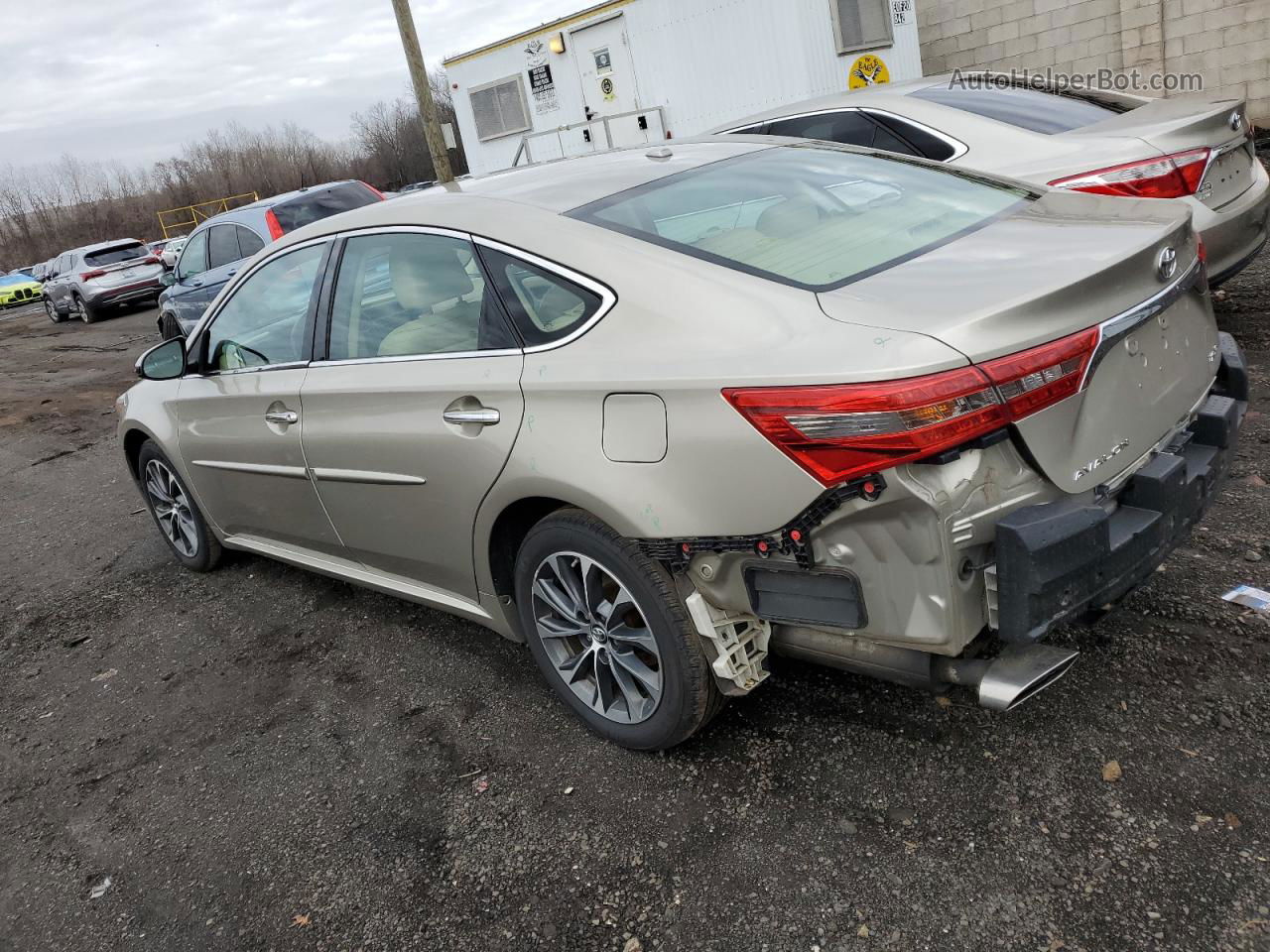 2016 Toyota Avalon Xle Бежевый vin: 4T1BK1EB0GU230820