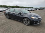 2016 Toyota Avalon Xle Black vin: 4T1BK1EB2GU201190