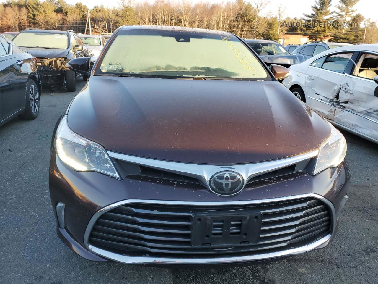 2016 Toyota Avalon Xle Коричневый vin: 4T1BK1EB2GU228454