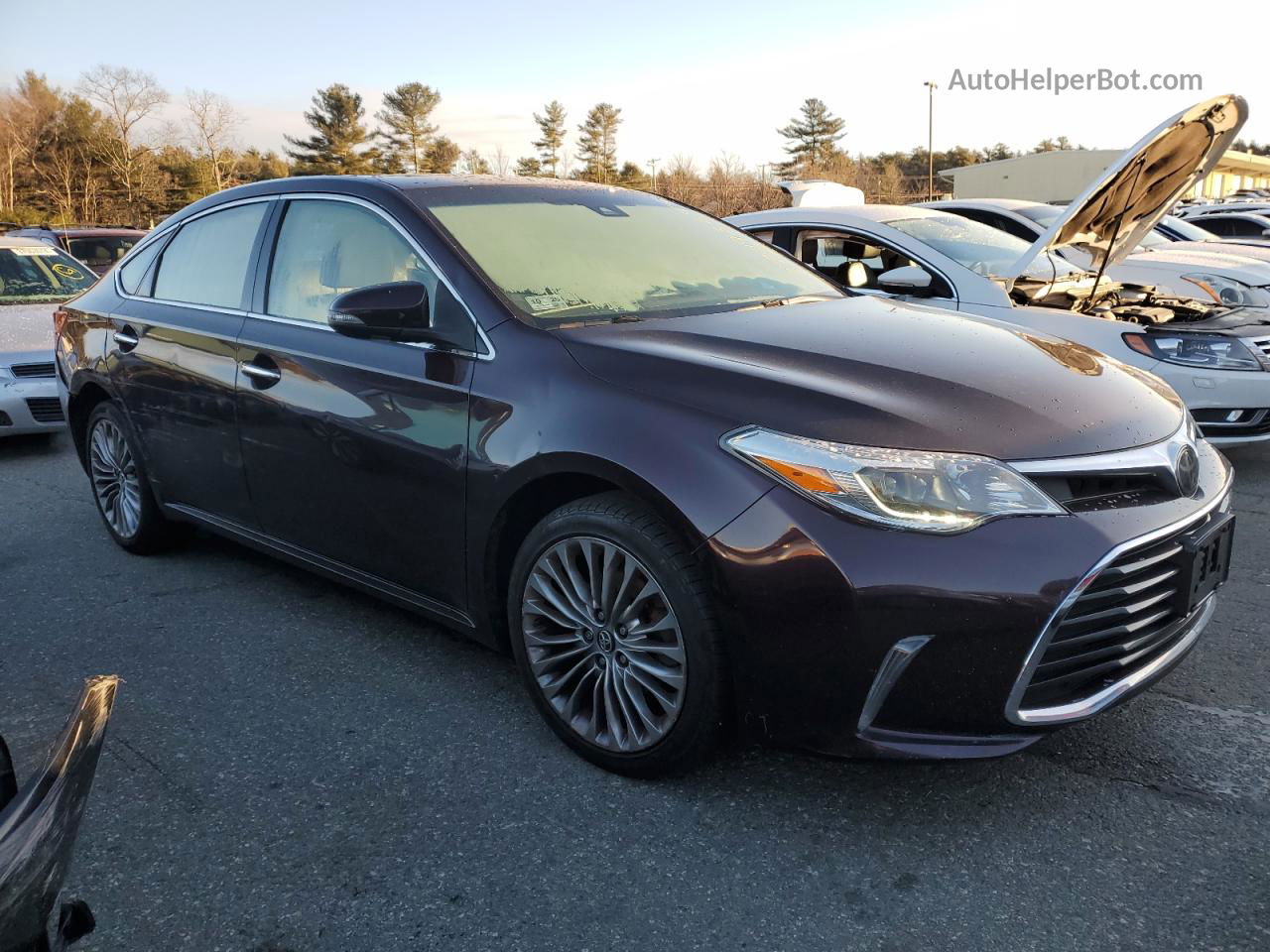 2016 Toyota Avalon Xle Коричневый vin: 4T1BK1EB2GU228454