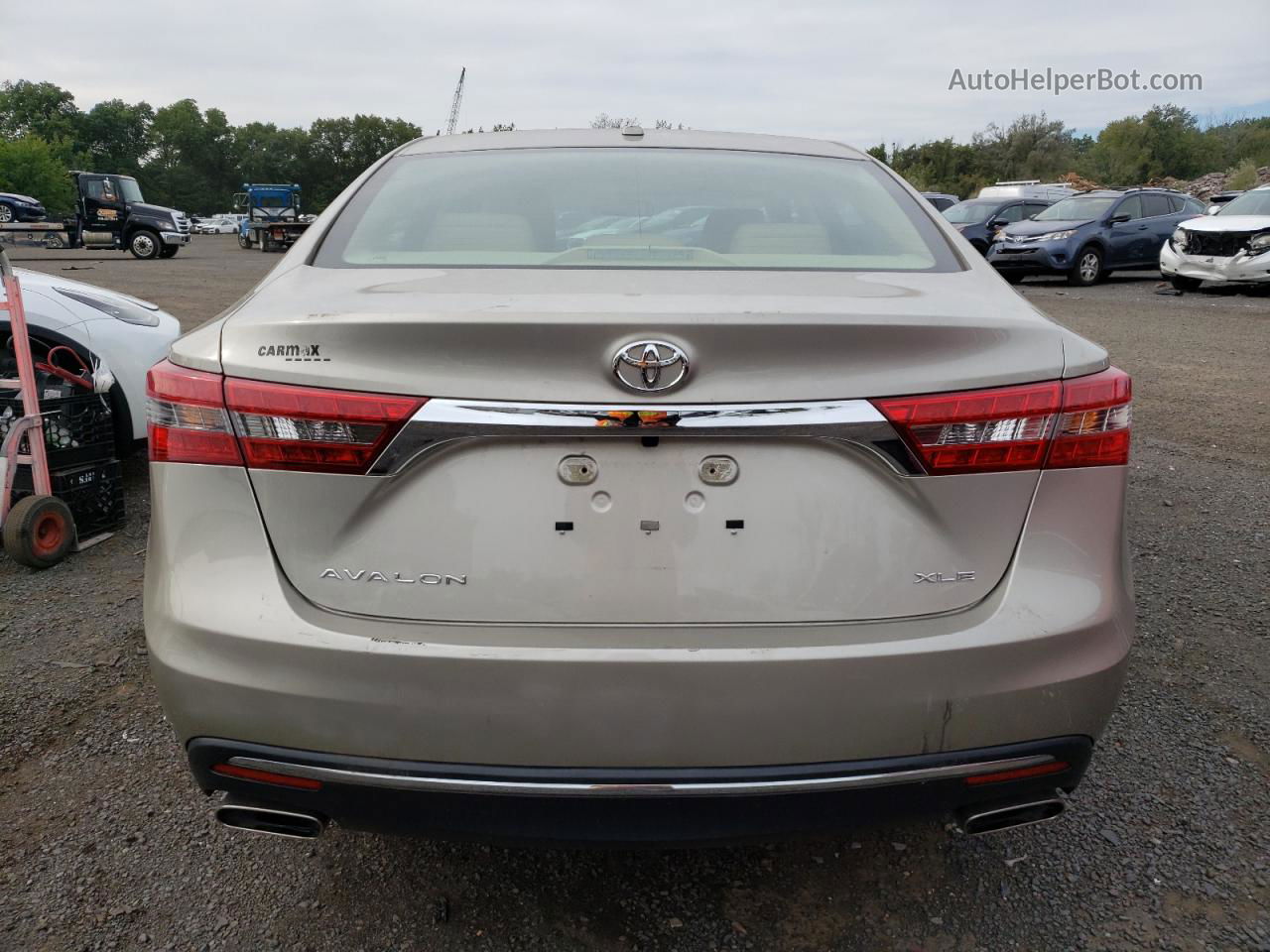 2016 Toyota Avalon Xle Tan vin: 4T1BK1EB5GU226262