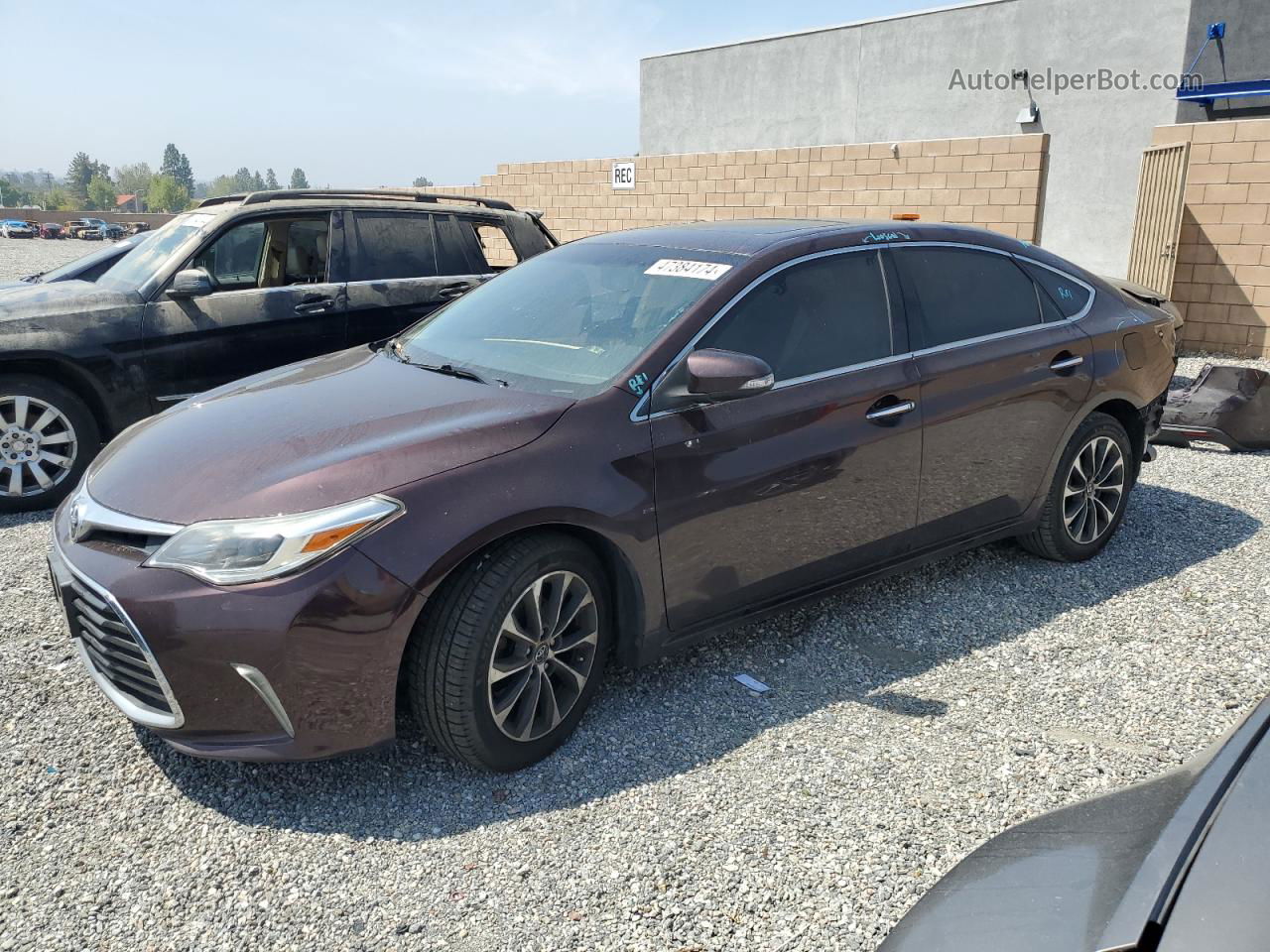 2016 Toyota Avalon Xle Burgundy vin: 4T1BK1EB6GU195233