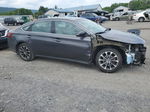 2016 Toyota Avalon Xle Gray vin: 4T1BK1EB7GU223265