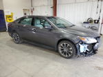 2016 Toyota Avalon Xle Gray vin: 4T1BK1EB8GU222383