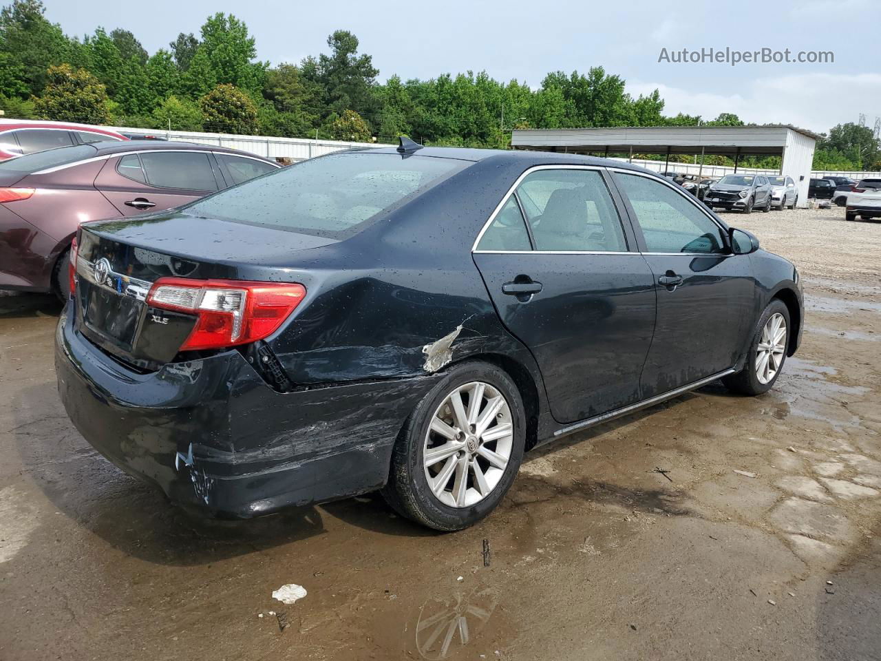 2013 Toyota Camry Se Blue vin: 4T1BK1FK2DU534452