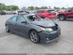 2014 Toyota Camry Se V6 Gray vin: 4T1BK1FKXEU549878