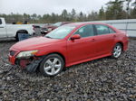 2011 Toyota Camry Se Burgundy vin: 4T1BK3EK6BU629431