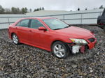 2011 Toyota Camry Se Burgundy vin: 4T1BK3EK6BU629431