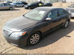 2009 Toyota Camry Le/se/xle Gray vin: 4T1BK46K99U579266