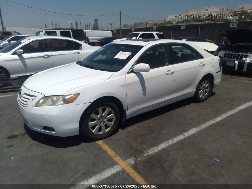 2009 Toyota Camry Xle V6 White vin: 4T1BK46K99U590039