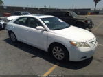 2009 Toyota Camry Xle V6 White vin: 4T1BK46K99U590039