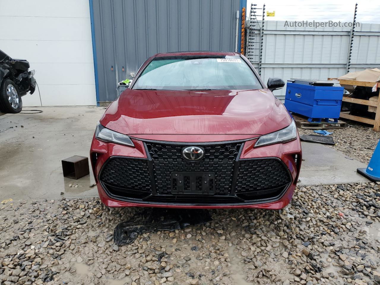 2019 Toyota Avalon Xle Red vin: 4T1BZ1FB2KU033666