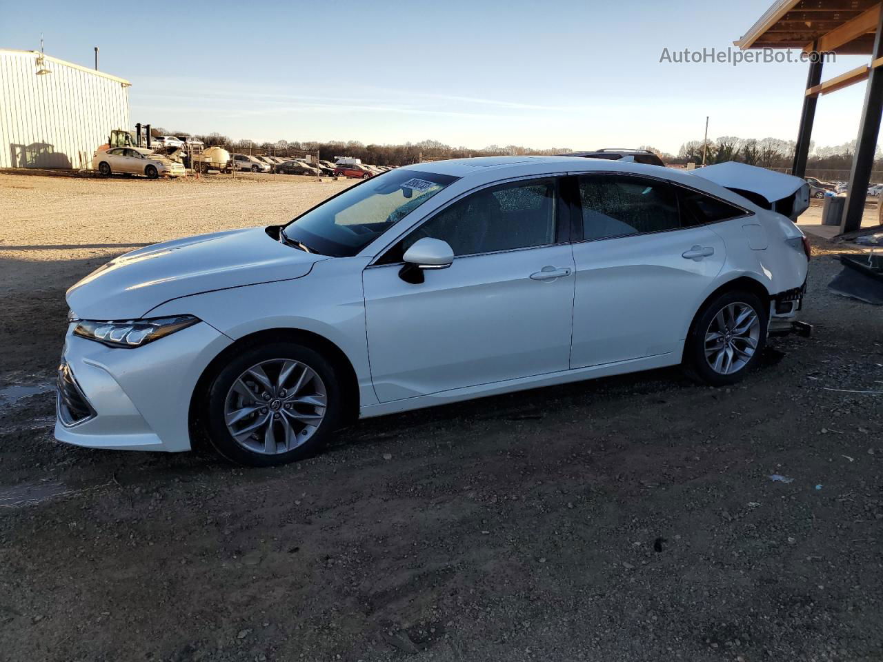 2019 Toyota Avalon Xle White vin: 4T1BZ1FB6KU011038